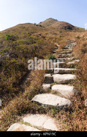 Bahn im grünen Wald Stockfoto
