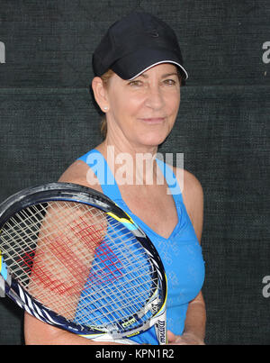 DELRAY Beach, FL - 23. NOVEMBER: Chris Evert beteiligt sich an der 25. jährlichen Chris Evert/Raymond James Pro-Celebrity Tennis Classic in Delray Beach Tennis Center am 23. November 2014 in Delray Beach, Florida Personen: Chris Evert Stockfoto