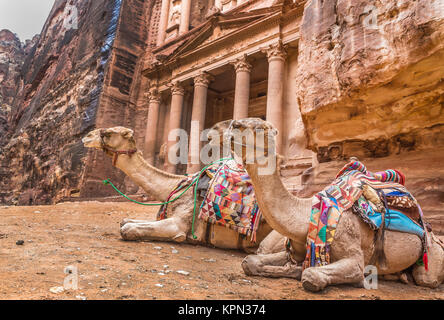 Beduinen Kamel liegt in der Nähe der Schatzkammer Al Khazneh Stockfoto