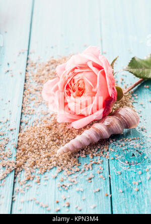 Nahaufnahme von zarten rosa Rose Blume und Spirale Seashell ruht auf dem Bett von verstreuten Peeling Körner auf blau lackierten Holz- Oberfläche mit Kopie Raum Stockfoto