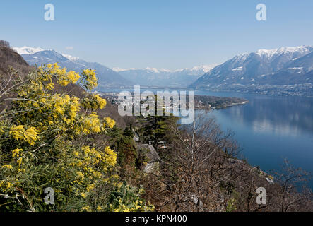 Panorama der Maggia Delta Stockfoto