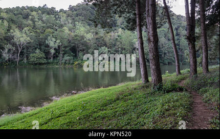 Wunderschöne Aussicht auf Pine Tree Reflexion in einem See bei Pang Oung Nationalpark in Mae Hong Son, Thailand Stockfoto