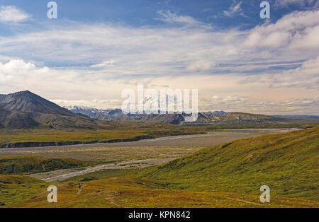 Denali Peaking aus den Wolken über der Tundra Stockfoto