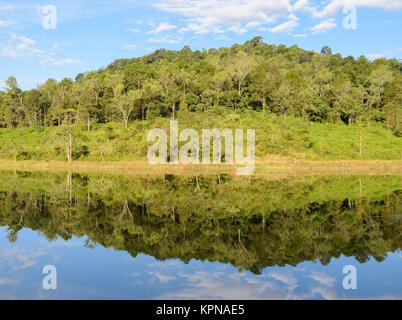 Pang Oung Nationalpark, Reflexion der Kiefer in einem See, Mae Hong Son, Thailand Stockfoto