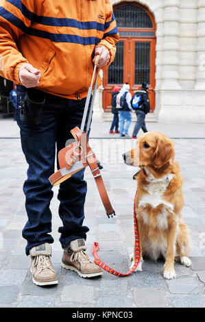 Ausbildung Guidedog - Paris - Frankreich Stockfoto