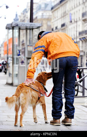 Ausbildung Guidedog - Paris - Frankreich Stockfoto