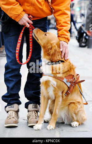 Ausbildung Guidedog - Paris - Frankreich Stockfoto