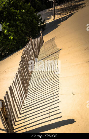 Dune du Pilat mit 114 Meter die höchste Sanddüne Europas in der Nähe von arcachon gironde Aquitaine Frankreich Stockfoto