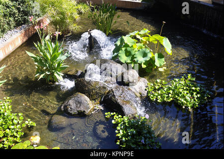 Dekorative Becken Anduze Bambus Garten Stockfoto