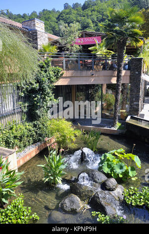 Dekorative Becken Anduze Bambus Garten Stockfoto