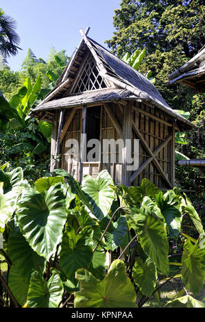 Bambus Haus im Park Anduze Bambus Stockfoto