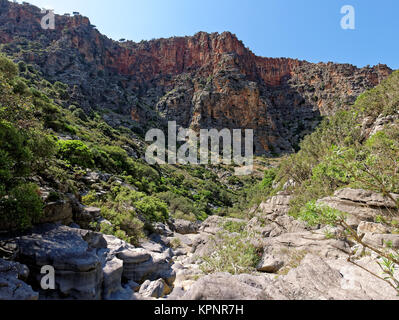 Oben getrocknet in der aposelemi Schlucht auf Kreta Riverbed. Stockfoto