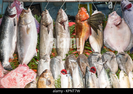 Frischer Fisch hängt auf einem Markt an Haken Stockfoto