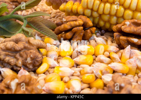 Mais mit Nüssen Stockfoto