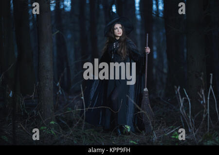 Hexe mit Besen in den Wald Stockfoto