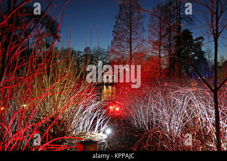 Glow 2017, Fokus auf ferne Lichter und Bäume, RHS Garden Wisley, Woking, Surrey, England, UK, Europa. Stockfoto