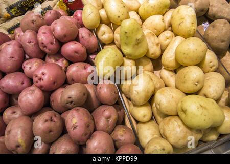 Kartoffelknollen verschiedene Sorten aus den Regalen geerntet Stockfoto