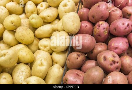 Kartoffelknollen verschiedene Sorten aus den Regalen geerntet Stockfoto