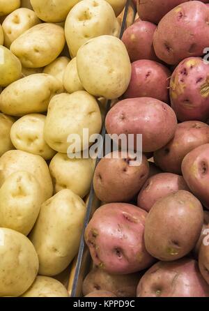 Kartoffelknollen verschiedene Sorten aus den Regalen geerntet Stockfoto