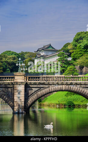 Tokyo Imperial Palace äußeren Gärten mit dem berühmten Nijubashi Brücke und ein Schwan Stockfoto