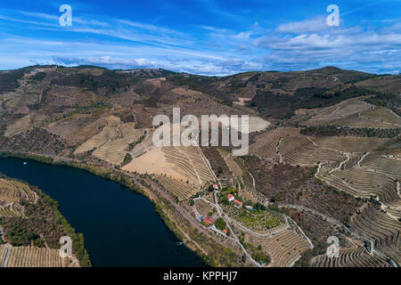 Luftaufnahme des Douro Fluss und die umliegenden terrassierten Hängen und die Herstellung von Wein Immobilien in Portugal, Europa; Konzept für Reisen in Portugal und Th Stockfoto