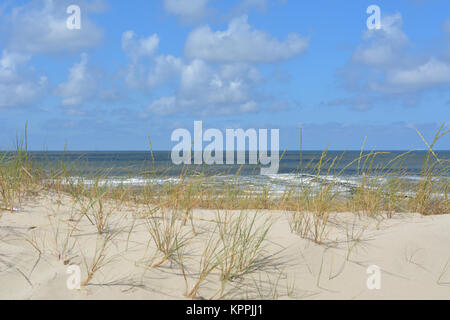 Strand und Dünen Gras an einem sonnigen Tag auf der Insel Texel, Niederlande. Stockfoto