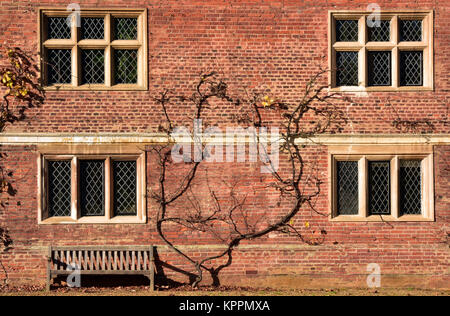 Eine Holzbank und Baum gegen einen roten Backsteinmauer und führen Licht windows an Blickling Hall National Trust property in Norfolk in der Nähe von Norwich. Stockfoto