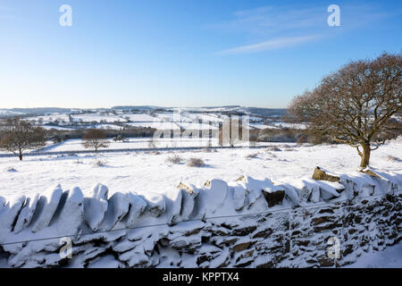Snowy Szene an der Spitze der Beacon Hill Country Park Leicestershire Stockfoto