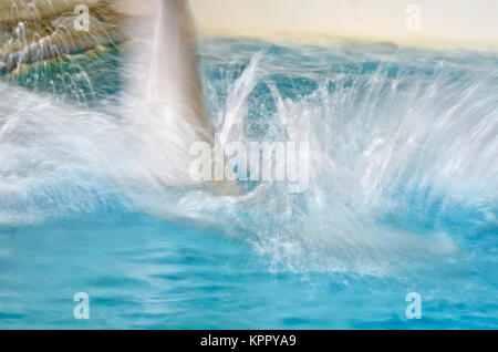 Dolphin blur springen Stockfoto