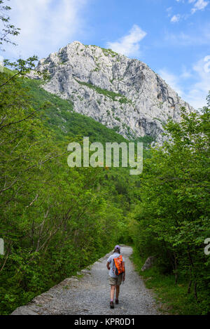 Trail durch den Kalkstein Schlucht, Nationalpark Paklenica, Kroatien Stockfoto