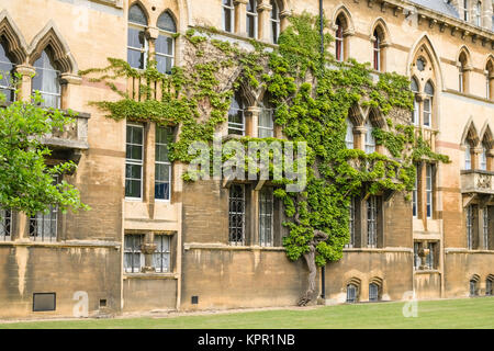 Die Wiese am Christ Church College, Blick von Breiten Fußweg, Oxford, Oxfordshire, England Stockfoto