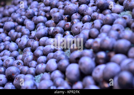 Viele pralle Blaubeeren! Stockfoto