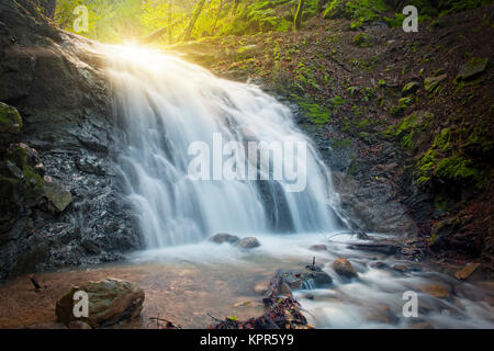 Ein Bild von uvas Canyon County Park in den Santa Cruz Mountains. Der Park liegt 20 Meilen südlich von San Jose, Kalifornien. Stockfoto