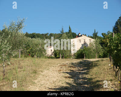 Villa in der Toskana, zwischen Weinbergen und Olivenhainen ein Stockfoto