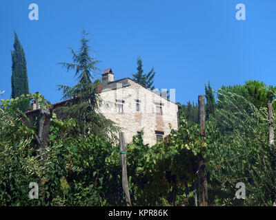 Villa in der Toskana, zwischen Weinbergen und Olivenhainen ein Stockfoto