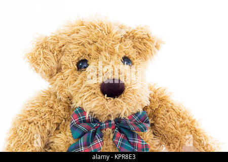 Close up Teddybär Portrait auf Weiß Stockfoto