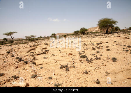 Trockene Landschaft um Laas Geel Höhlen Stockfoto