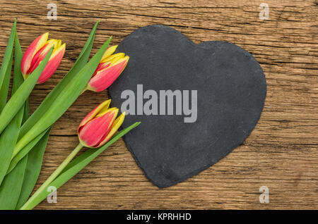 Rot-gelbe Tulpen mit Herzförmigen Schiefer Stockfoto