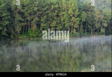 Wunderschöne Aussicht auf Pine Tree Reflexion in einem See bei Pang Oung Nationalpark in Mae Hong Son, Thailand Stockfoto