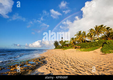 Regenbogen über dem beliebten Surfen Platz Sunset Beach, Oahu, Hawaii Stockfoto