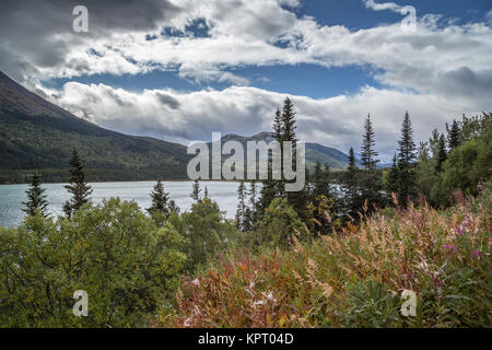 Tagish Lake in der Nähe von Carcross, südlichen Seen, Yukon, Kanada, im Herbst (Herbst) berühmt Teil der Route des Yukon Gold Rush Stockfoto