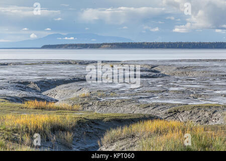 Wattenmeer bei Ebbe auf dem Knik Arm, eine Wasserstraße in den nordwestlichen Teil des Golf von Alaska, einem Zweig des Cook Inlet, Anchorage, Alaska, USA Stockfoto