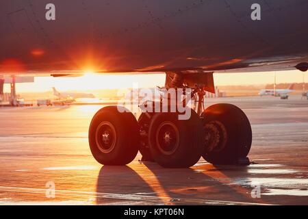 Das Fahrwerk des Flugzeugs. Sonnenuntergang am Flughafen. Stockfoto