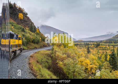 Blick von der MacKinley Explorer Zug auf der Alaska Railroad in der Nähe des Denali National Park im Herbst (Herbst), in der Tundra und Taiga im Herbst Farben Stockfoto