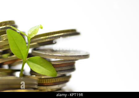 Anlagen- und Menge Münzen Stockfoto