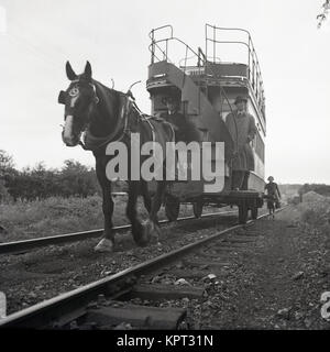 1950er Jahre, historische Bild zeigt einen Fahrer und einen männlichen Fahrgast Reiten an der Vorderseite des letzten Pferd - Straßenbahn, die in Nordirland gezeichnet. Eine Dame der Passagier ist zu Fuß hinter der Straßenbahn, in der Hoffnung, es zu. Stockfoto