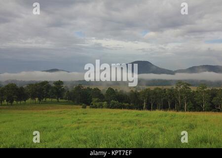 Herbstmorgen in der Nähe von Wauchope. New South Wales, Australien. Ländliche Landschaft und Morgen Nebel. Stockfoto