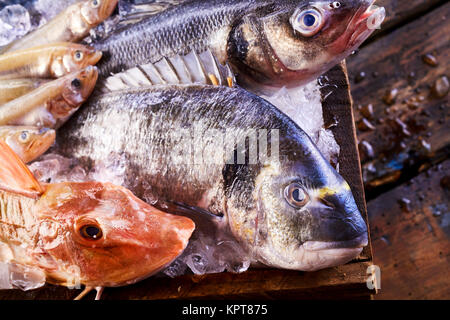 Frisch Vielfalt der essbaren Seefische auf Eis in einer Kiste mit einem roten Knurrhahn, Dorade, Makrele und Meeräsche gefangen, Ansicht schließen Stockfoto