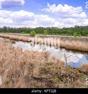 Moorlandschaft Stockfoto