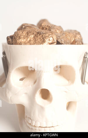 Golden Nuggets im Schädel Kopf auf weißem Hintergrund Stockfoto